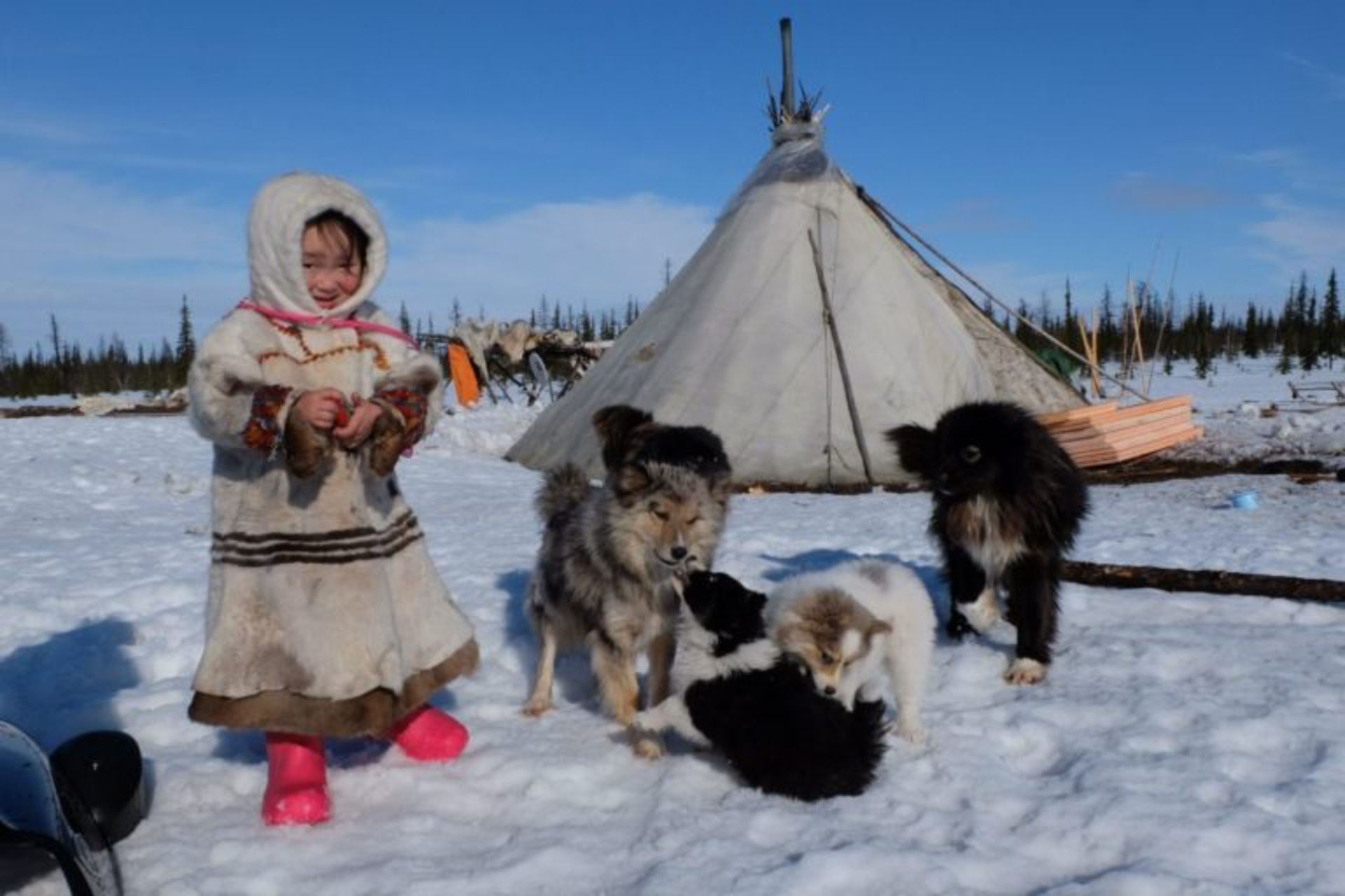 Необычный Новый год: нестандартные идеи для встречи 2026-го