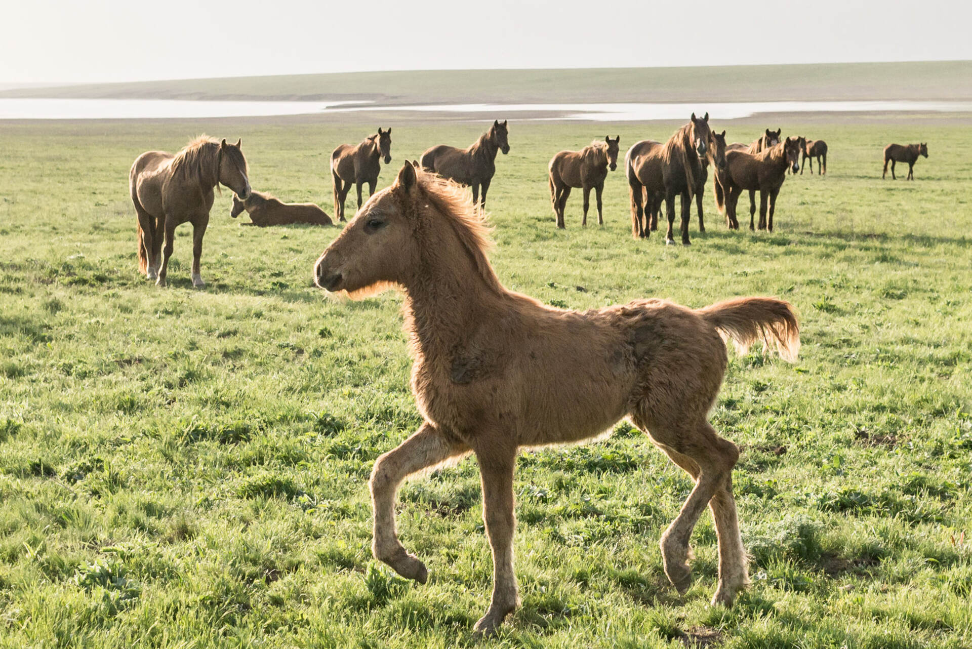 Куда поехать весной по России